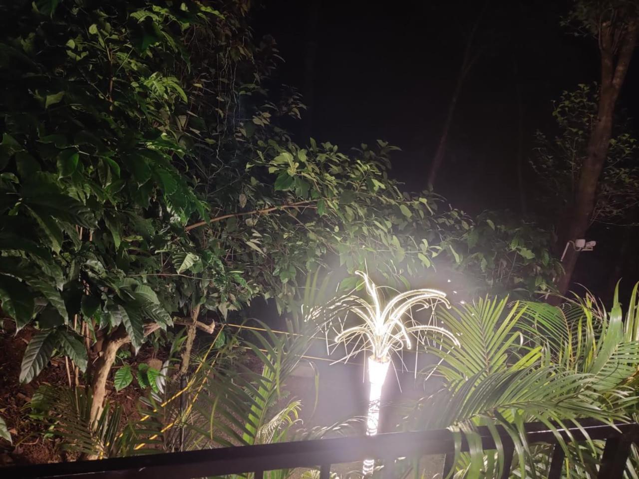Hotel Misty Rain Estate Madikeri Exterior foto
